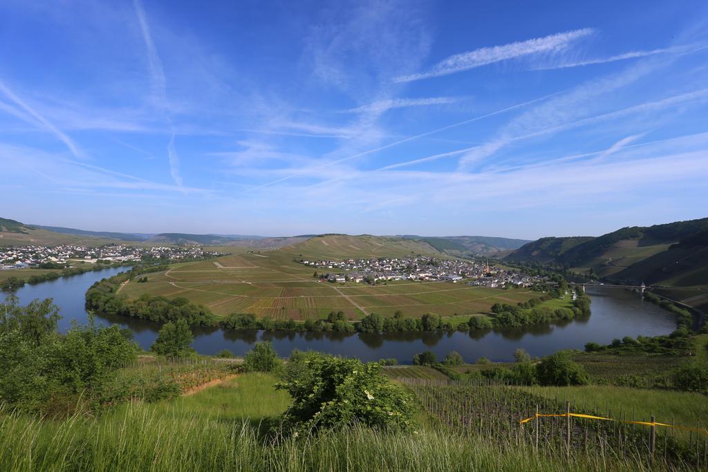 Ernst Clüsserath Weingut&Weinhotelchen Trittenheim Exterior foto